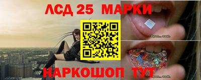 сатива Новозыбков