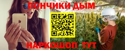 a pvp Новодвинск