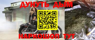 сатива Новозыбков