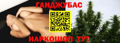 a pvp Новодвинск