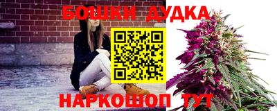 молекула духа Новокубанск
