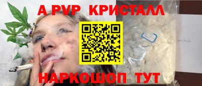 сатива Новозыбков