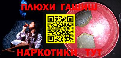 сатива Новозыбков