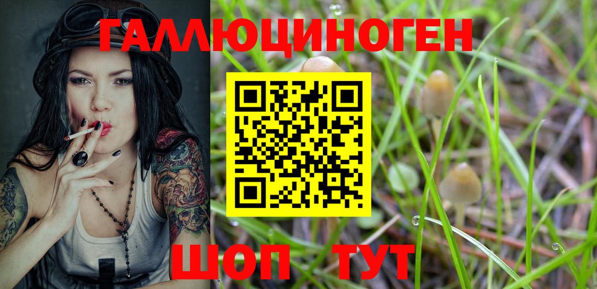Псилоцибиновые грибы Psilocybe  наркотики  Тавда  Псилоцибиновые грибы мухоморы  Вход с VPN 