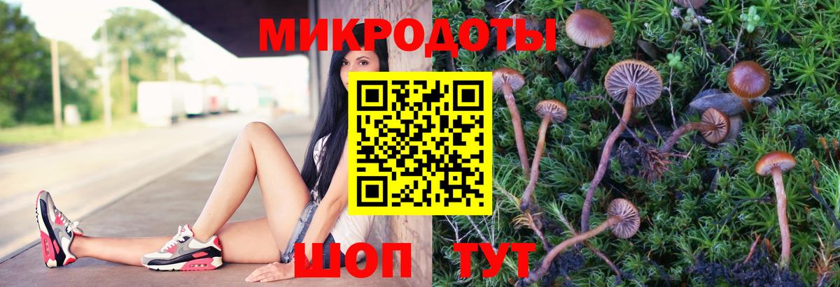 ГАШ  Тавда  A-PVP СК кристаллы  Мефедрон   Вход с VPN  MDMA  Экстази 